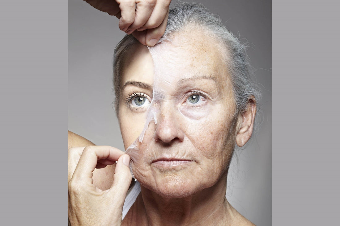 Is it possible to slow down the ageing process?